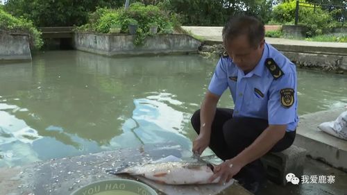 隨機(jī)抽檢水產(chǎn)品 確保群眾 舌尖上的安全